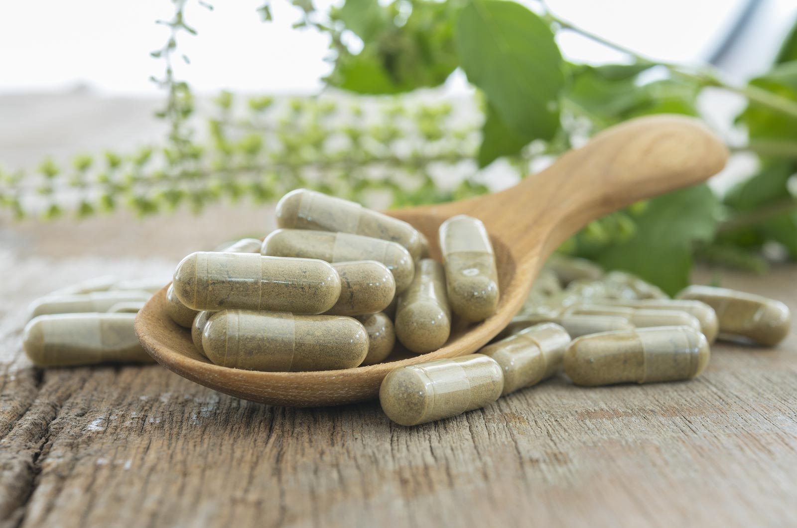 Herb capsule Nutritional Supplement Vitamin Pill Herbal Medicine.